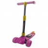 Flash Wheel Folding Scooter Photo