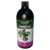 Ailon Naturals Organic Moringa Leaf Liquid Extract - Immunity Booster Photo