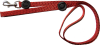 Grovida Pet Lead Photo