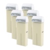 Roial Wax Cartridge Zinc Dioxide 100ml - 6 Pack Photo