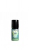 Empire Brew Aloe vera Photo