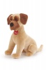 Trudi Classic Dog Great Dane Adalberto Plush - 30cm Photo