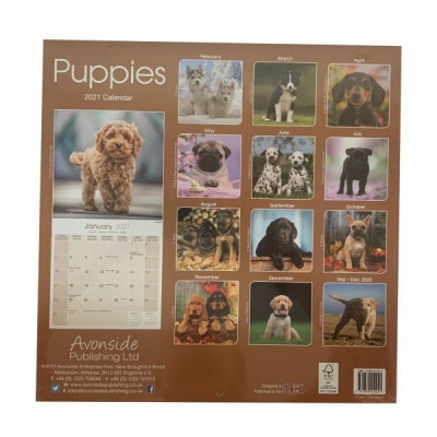 Photo of CHEF HOME Puppies 2021 Wall Calendar - Dogs
