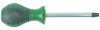 Screwdriver Square Head Photo