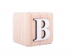 Wooden Alphabet Blocks Photo