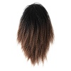 Magic Afro Kinky Straight Synthetic Hair Pieces and Weaves Maxine TT1B/30 Photo