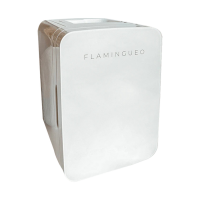 Flaminqueo Mini Drinks Fridge Portable cooler 10L Mini Refrigerator