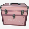 Bluesky Exclusive Ice-Cream Pink Beauty in a Box Photo