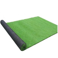 Artificial Grass Lawn 2m x5m 10mm Height Realistic Synthetic Grass Mat