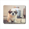 Mouse Pad - Long Haired Puppy Photo