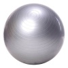 Yoga Pilates Gym Exercise Balance Ball with Pump – Silver 65cm Photo