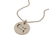 Gemini Constellation Rose Gold Necklace Photo
