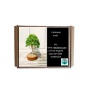 Bonsai Seeds Box by SeedleMe Photo