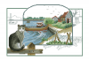 Cross stitch kit- Sea Cat Photo
