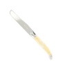 Andre Verdier Laguiole Dinner Knife Single Photo