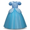 Sinderella Blue Princess Dress Photo