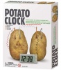 ZYS - Potato Clock - DIY Science Experiment Educational Kids Toy Photo
