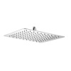 Olive Tree - Mirror finish Slimline Stainless Steel Square Showerhead 10" Photo