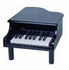 My First Toy Piano 18 Key Photo