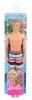 Barbie Ken Beach Doll - Stripe Shorts Photo