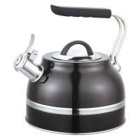 Russell Hobbs Capsulated Bottom Stovetop Kettle