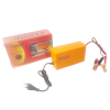 15A Intelligent Pulse Charger 12V Photo