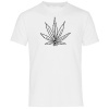 T-shirt Photo