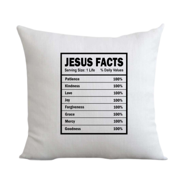 Jesus Facts Pillow