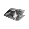 Laptop Skin/Sticker - Cute Staffie Photo