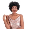 Joedir Machine Made Short Curly Brazilian Human Hair Wig Photo