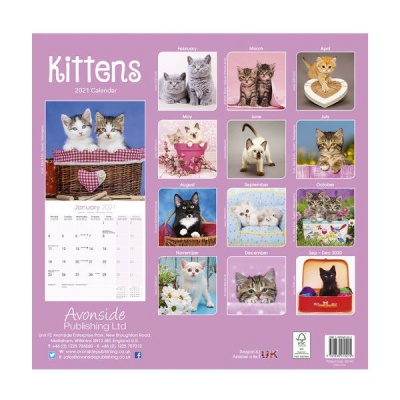 Photo of CHEF HOME Kittens 2021 Wall Calendar - Cats