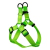 Bright Nylon Dog Harness - Green Photo