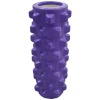 Fury Sport Fury Ridged Foam Roller - Purple Photo