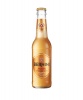 Bernini Amber - 24 x 275ml Photo