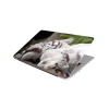 Laptop Skin/Sticker - Sleeping Tiger Photo