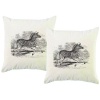 PepperSt – Scatter Cushion Cover Set – Zebra Sketch Photo