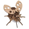 Wow We - 3D Wooden Model Insects Lady Bug Photo