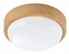 Bright Star Lighting 20 Watt Polycarbonate Ceiling Fitting Photo