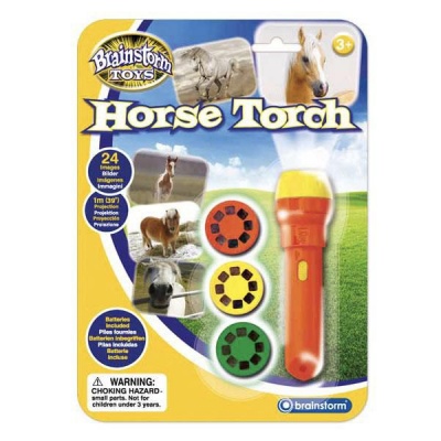 Photo of Brainstorm Horse Torch and Projector