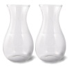 Vagnbys Personal Carafe - Borosilicate Glass - 200 ml - 2 Pieces Photo