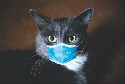 Photo of Graffiti Laptop Skin Cat with Mask