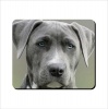 Mouse Pad - Short Coat Dog Photo