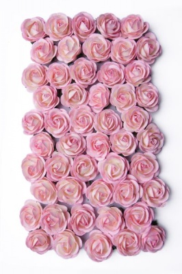 Photo of Bloom Chelsea Roses - Baby Pink and Ivory