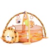 Baby Play Mat Photo