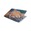 Laptop Skin/Sticker - Sleeping Ginger Cat Photo