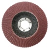 TOTAL 10 Piece Flap Disc P40 Photo