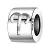 Aries Charm - Zodiac Sign Photo
