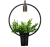 Wrought Iron Pendant Light With Planter - Round Photo