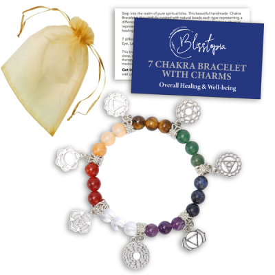 Blisstopia 7 Chakra Bracelet with Charms in Gift Bag Info Card Heal your Chakras
