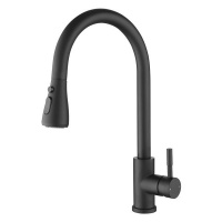 Single Handle Stainless Steel Kitchen Faucet with Pull Down Sprayer